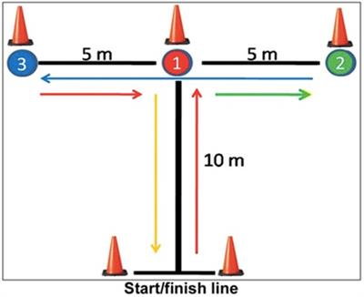 Analysis of anthropometric and physical performance variables in U-17 soccer players